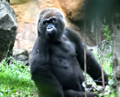 コミュニケーション 生き物navi Part 4