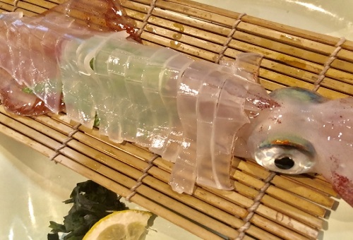 イカはどこから墨を吐くの?量は? | 生き物NAVI